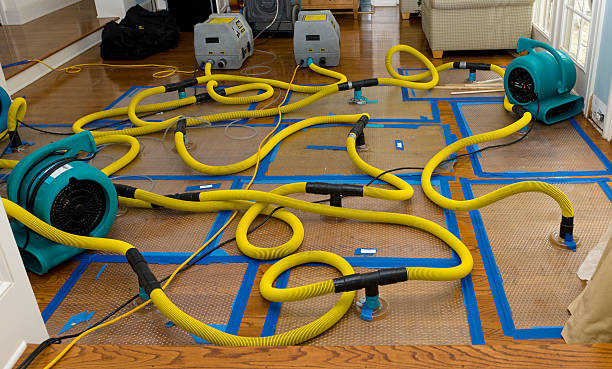 Professional Burst Pipe Water Damage technician working in Buckeye, AZ